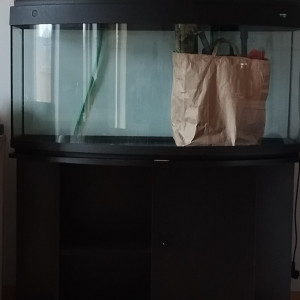 Aquarium 240L