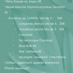 aquarium de 60 litres entièrement équipé.