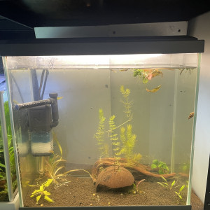 Aquarium 32L