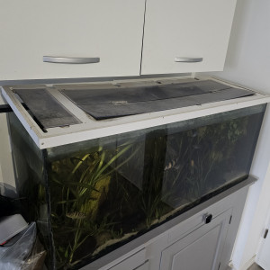 Aquarium 240L 1m20 cuve nue