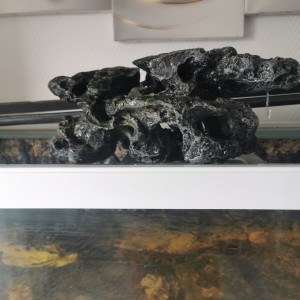 Belles Roches pour aquarium