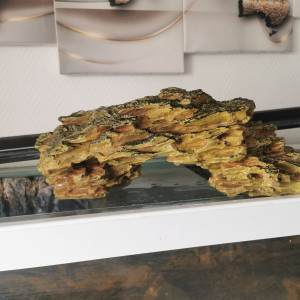 Belles Roches pour aquarium