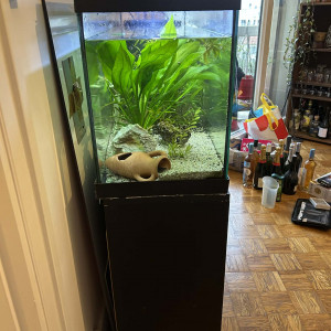 Aquarium 100 L Zolux