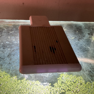 Aquarium déjà cyclé avec sol technique noix coco rare Moss eclairage