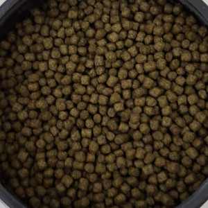 Granulés au krill 3mm pour gros cichlidés
