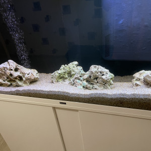 Aquarium et meuble blanc CIANO 240 litres