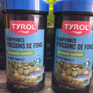 Ancistrus  et nourriture pour ancistrus