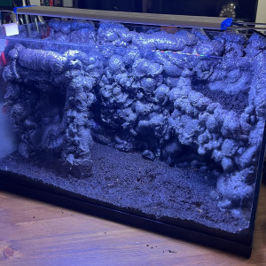 Aquarium 35l équipé