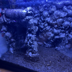 Aquarium 35l équipé