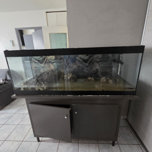 Aquaruim +meuble 400 Litres