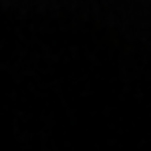 Recherche aquarium gratuit 300litre voir un peux moins