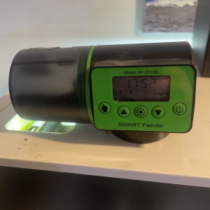 Aquarium 200L équipé complet avec poissons