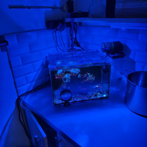 Aquarium récifal 35L dennerle complet