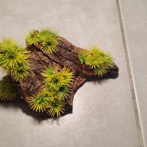 Décoration en résine