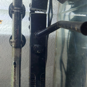 Aquarium complet 80 l avec poissons