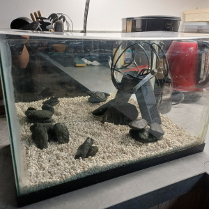 Aquarium miroir 20l avec pompe et gravier blanc