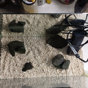 Aquarium miroir 20l avec pompe et gravier blanc