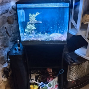 Aquarium Fluval 57L