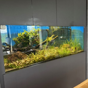 Aquarium à vendre