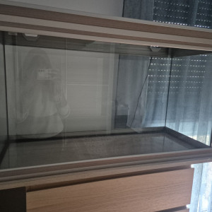 Aquarium 100x60x40 cm avec éclairage LED