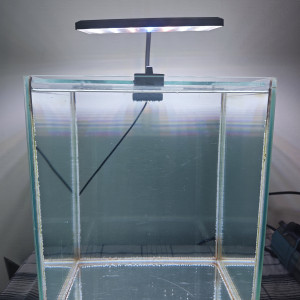 Aquarium Zoluc 20 litres