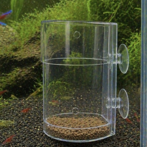 Mangeoire pour poissons et crevettes