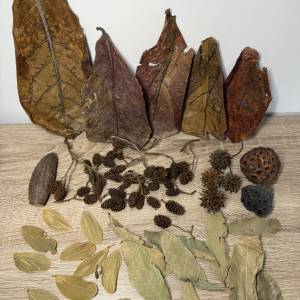 Pack XL décoration naturelle pour aquarium biotopes