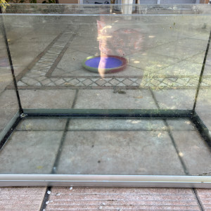 Donne aquarium 60 litres