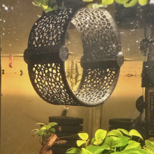 Hamac flottant poisson