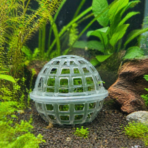 Abri pour crevette et pour mousse de java taille S