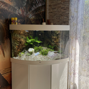 vends aquarium JUWEL Trigon Blanc 190 avec meuble