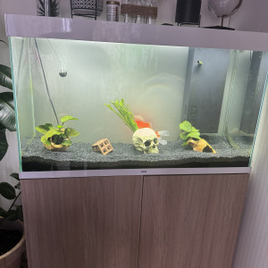 Meuble Ciano Aquarium Terrarium Vivarium