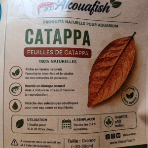 Feuilles de catappa x10 – grandes (20–30 cm) – biotope aquarium crevette