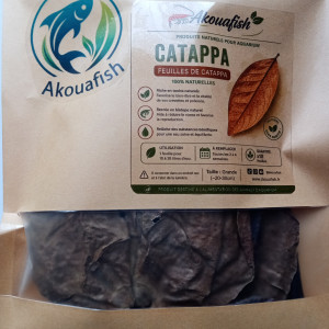 Feuilles de catappa x10 – grandes (20–30 cm) – biotope aquarium crevette
