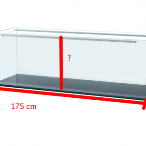 cuve aquarium