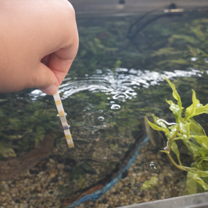 Test d’eau aquarium 6 en 1 – 50 Bandelettes pH GH KH NO2 NO3 – Analyse rapide qualité de l’eau