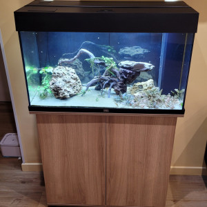 Aquarium Juvel 100 L et meuble