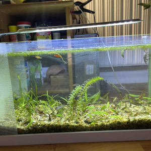 Aquarium 28L