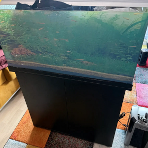 Donne full set Aquarium + Meuble + équipements 110 litres