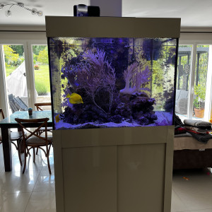 Aquarium complet eau de mer
