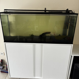 aquarium