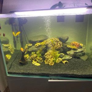 Aquarium Aquatlantis complet