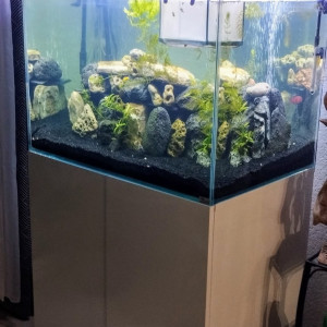 Aquarium Aquatlantis 250 l complet