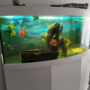 Aquarium Juwel Vision 450 L