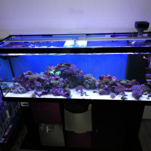 Aquarium avec meuble  mais vide