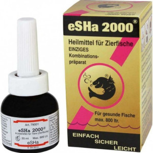 Esha 2000 et Esha exit