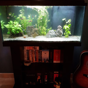 Vends aquarium Aquatlantis 96l tout équipé + poissons et plantes