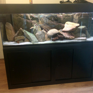 VDS Aquarium 450L + Meuble