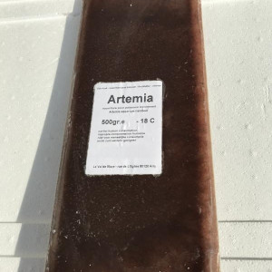 Artémias congelés (500g)