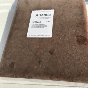 Artémias congelés (1kg)